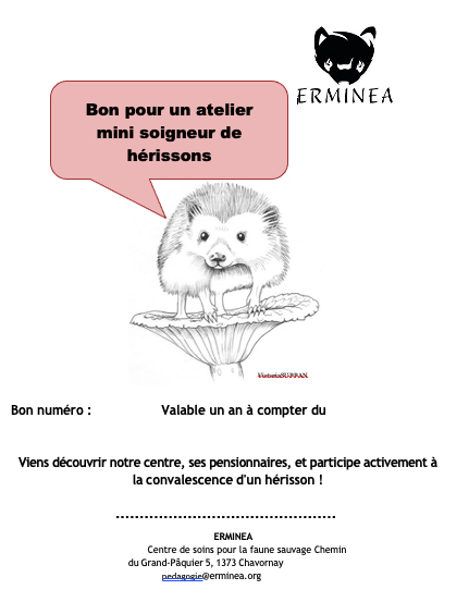 Image collection