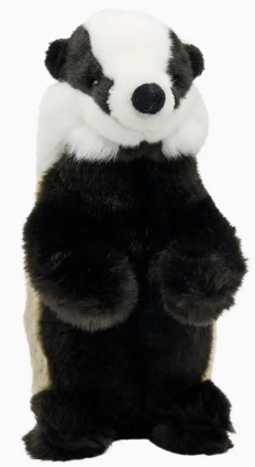 Image collection