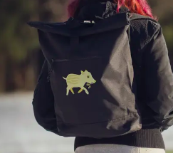Image collection