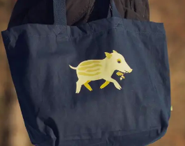 Image collection