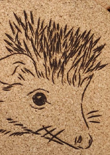 Image collection
